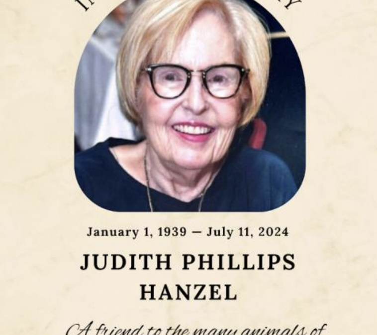 In Memoriam: Judith Phillips Hanzel