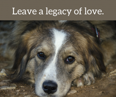 Leave a legacy of love. Leave a legacy of love.